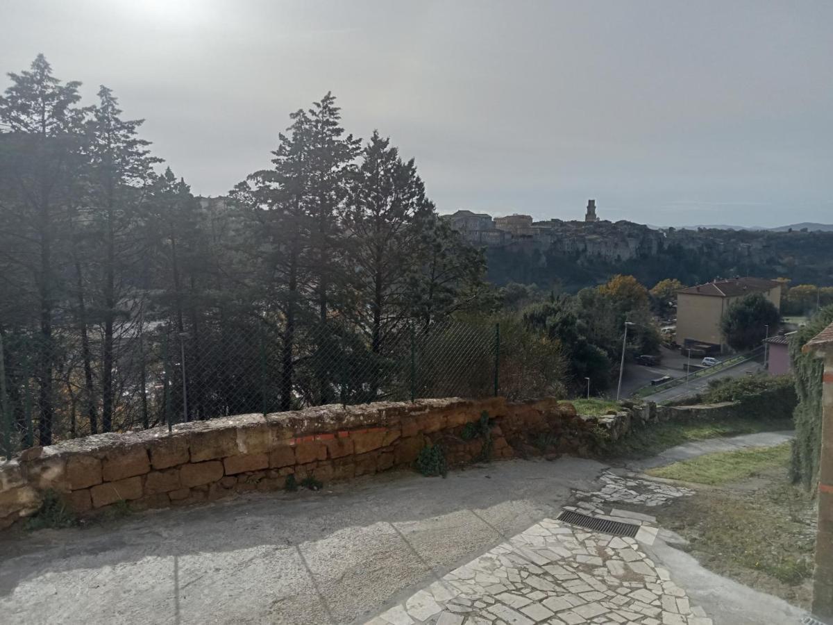 Il Nido Del Falco Apartment *